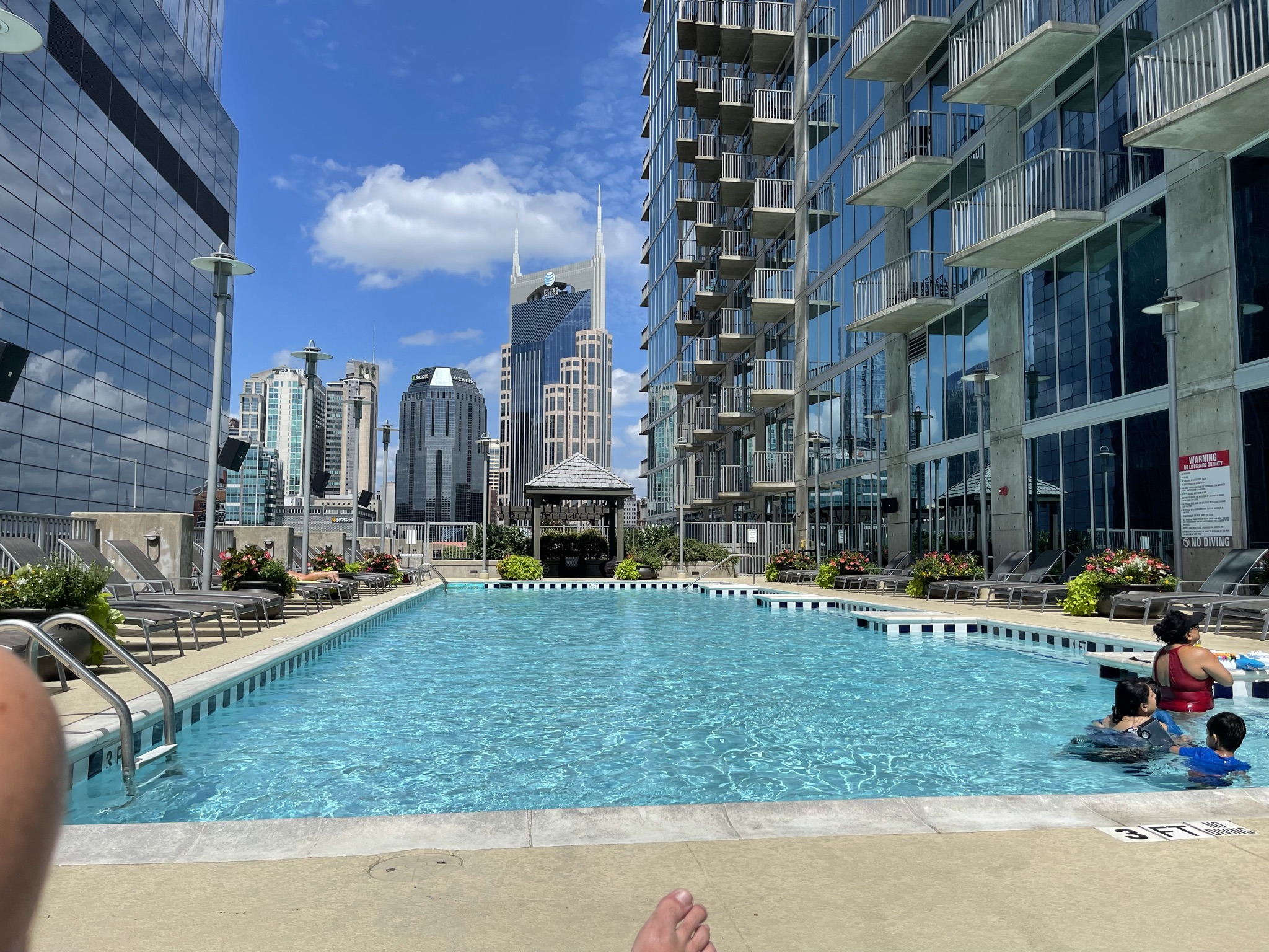 The View